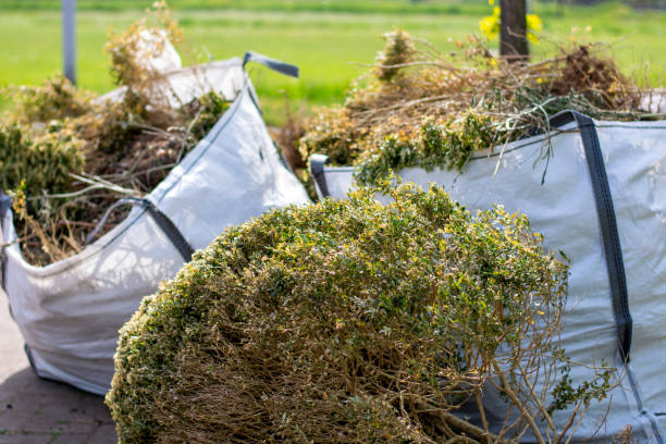 Best Office Junk Removal  in Morro Bay, CA